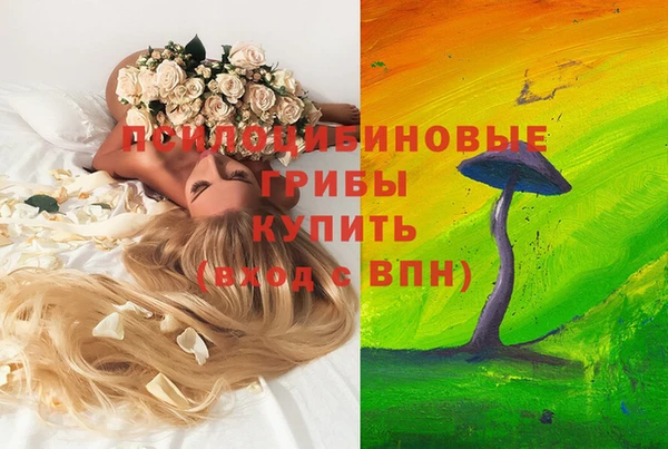 бошки Волосово