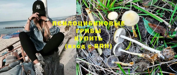 mix Верея