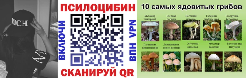 darknet наркотические препараты  Чистополь  Галлюциногенные грибы Magic Shrooms 